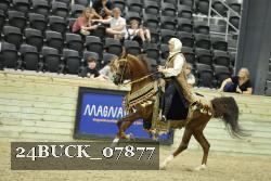 24BUCK_07877 thumbnail