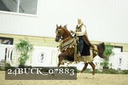 24BUCK_07883 thumbnail