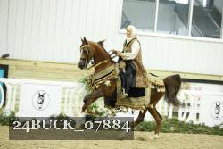 24BUCK_07884 thumbnail
