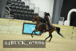 24BUCK_07886 thumbnail