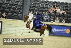 24BUCK_07889 thumbnail