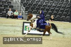24BUCK_07892 thumbnail