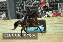 24BUCK_07906 thumbnail