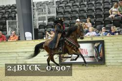 24BUCK_07907 thumbnail