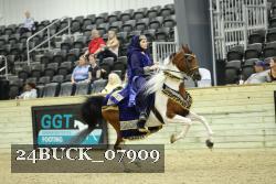 24BUCK_07909 thumbnail