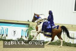 24BUCK_07915 thumbnail