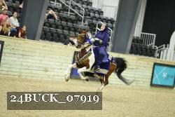 24BUCK_07919 thumbnail