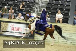 24BUCK_07927 thumbnail