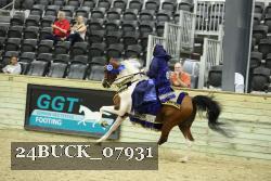 24BUCK_07931 thumbnail