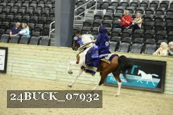 24BUCK_07932 thumbnail