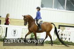 24BUCK_07946 thumbnail