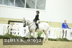 24BUCK_07952 thumbnail