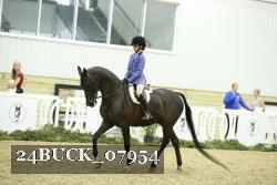 24BUCK_07954 thumbnail