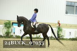 24BUCK_07955 thumbnail