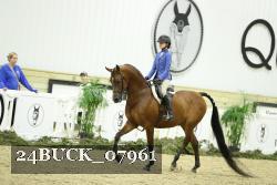 24BUCK_07961 thumbnail