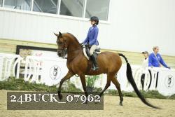 24BUCK_07962 thumbnail