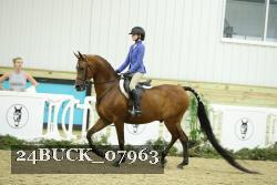24BUCK_07963 thumbnail