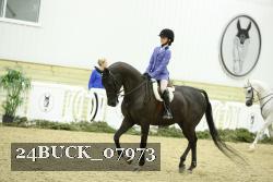 24BUCK_07973 thumbnail
