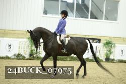 24BUCK_07975 thumbnail