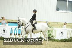 24BUCK_07977 thumbnail