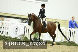 24BUCK_07980 thumbnail