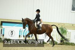 24BUCK_07981 thumbnail