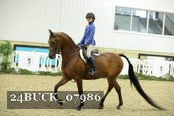24BUCK_07986 thumbnail