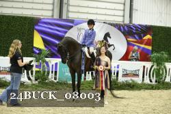 24BUCK_08003 thumbnail
