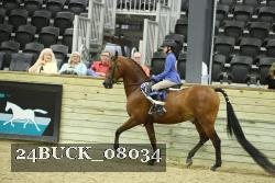 24BUCK_08034 thumbnail