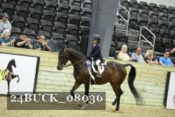 24BUCK_08036 thumbnail