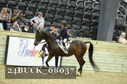 24BUCK_08037 thumbnail