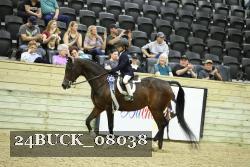 24BUCK_08038 thumbnail