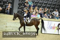 24BUCK_08039 thumbnail