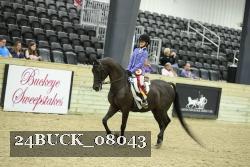 24BUCK_08043 thumbnail