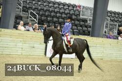 24BUCK_08044 thumbnail