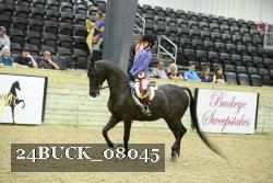 24BUCK_08045 thumbnail