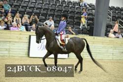 24BUCK_08047 thumbnail