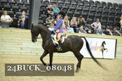 24BUCK_08048 thumbnail