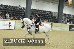 24BUCK_08055 thumbnail
