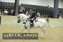 24BUCK_08056 thumbnail