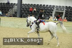24BUCK_08057 thumbnail