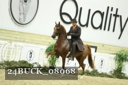 24BUCK_08068 thumbnail