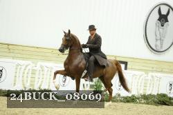 24BUCK_08069 thumbnail