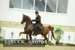 24BUCK_08070 thumbnail