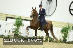 24BUCK_08071 thumbnail