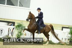 24BUCK_08072 thumbnail