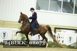 24BUCK_08073 thumbnail