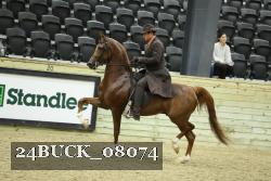 24BUCK_08074 thumbnail