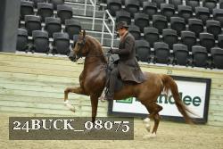 24BUCK_08075 thumbnail