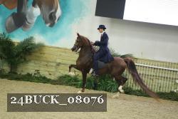 24BUCK_08076 thumbnail